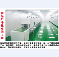 食品廠(chǎng)凈化車(chē)間工程